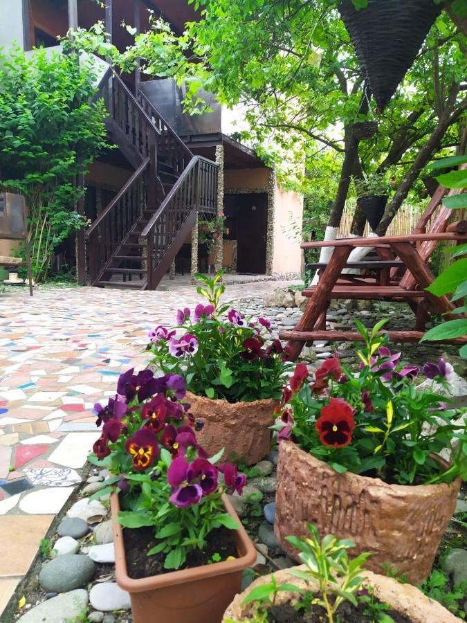 Guest House Lev Pițunda Exterior foto